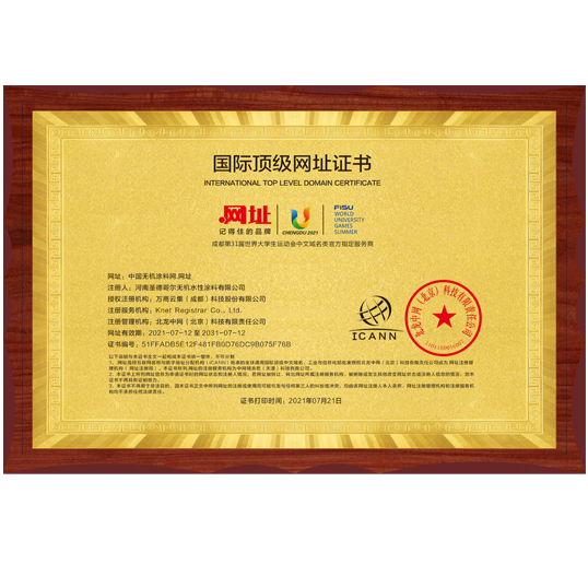 国际顶级网址证书